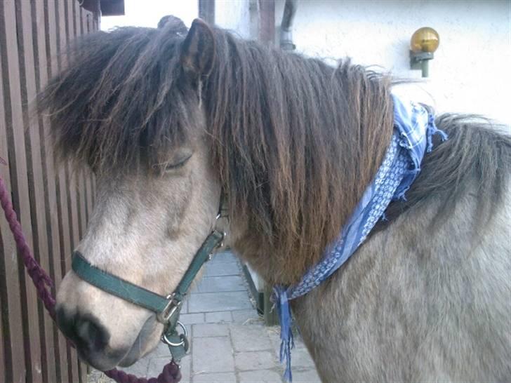 Anden særlig race Tjalfe ' Alt<3 *Gl. Part* - 16) nårh {: blev man lige lidt træt ? <33 billede 16