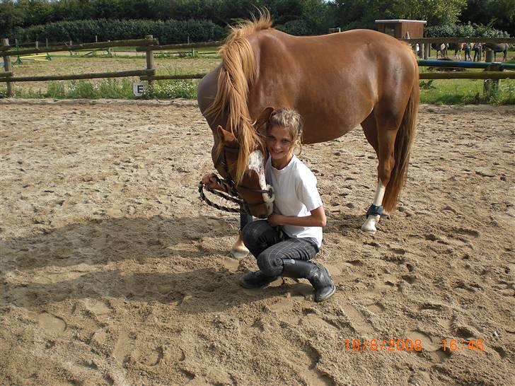 DSP Holmgaard Mesann  - 8. Nåår lille krølle pigen Foto Min Marie-Louise xD billede 8