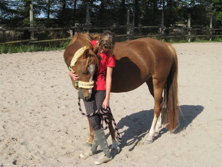 DSP Holmgaard Mesann  - 9. Nåår (: Foto Anna xD billede 9