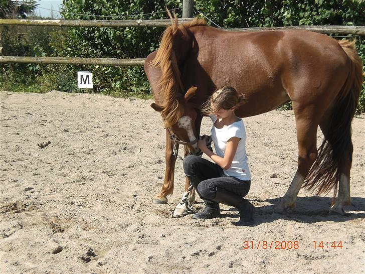 DSP Holmgaard Mesann  - 10. Mig og krølle Foto Marie-Louise - Tak billede 10