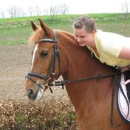 Anden særlig race Felina(solgt)