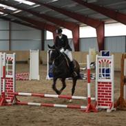 Anden særlig race Rachelieu uglvig