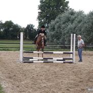Anden særlig race melissa<3<3 SOLGT ;( <'3