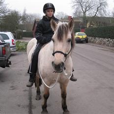 Anden særlig race Freja <3