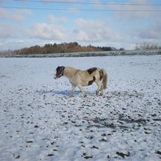 Anden særlig race #Wendy#