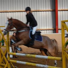 Anden særlig race The Showman