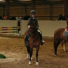 Anden særlig race Miss Anton*savnes*