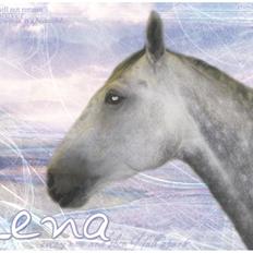 Oldenborg Lena 296