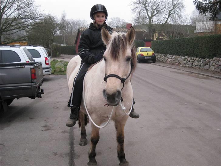 Anden særlig race Freja <3 - Fordi vores historie først er startet nu ! xD  billede 3