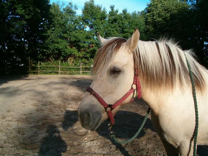 Anden særlig race Freja <3 - Fordi jeg elsker dig! billede 5