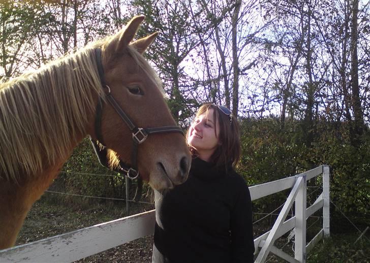 Frederiksborg Magic Star Light*SOLGT* billede 1