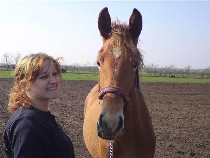 Frederiksborg Magic Star Light*SOLGT* - Magic: Taget den 23 april 2009 .Fotograf : jeg:-) billede 5