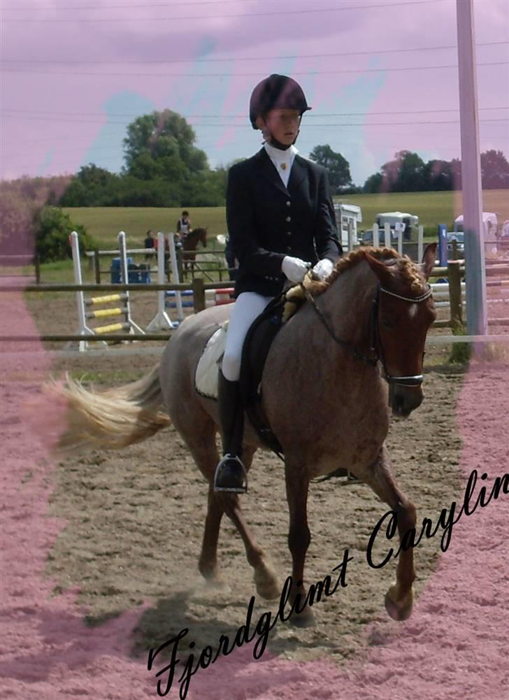 Welsh Pony af Cob-type (sec C) Fjordglimt Carylin - Dressur til uofficielt DM for 2´er ponyer :D billede 18