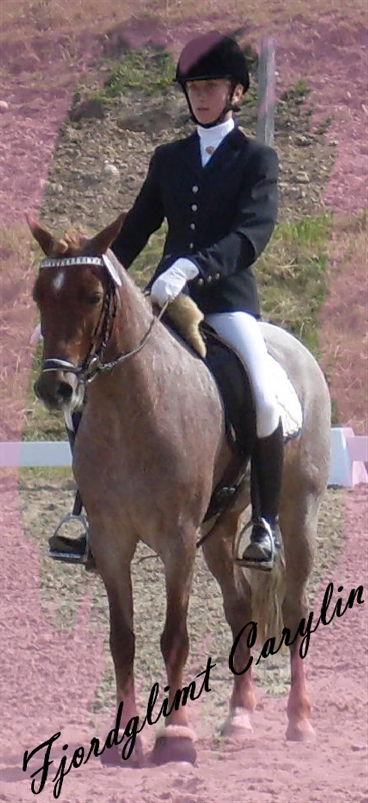 Welsh Pony af Cob-type (sec C) Fjordglimt Carylin - Afslutningsparade fra skaarupovergaard ´09 (:  billede 20