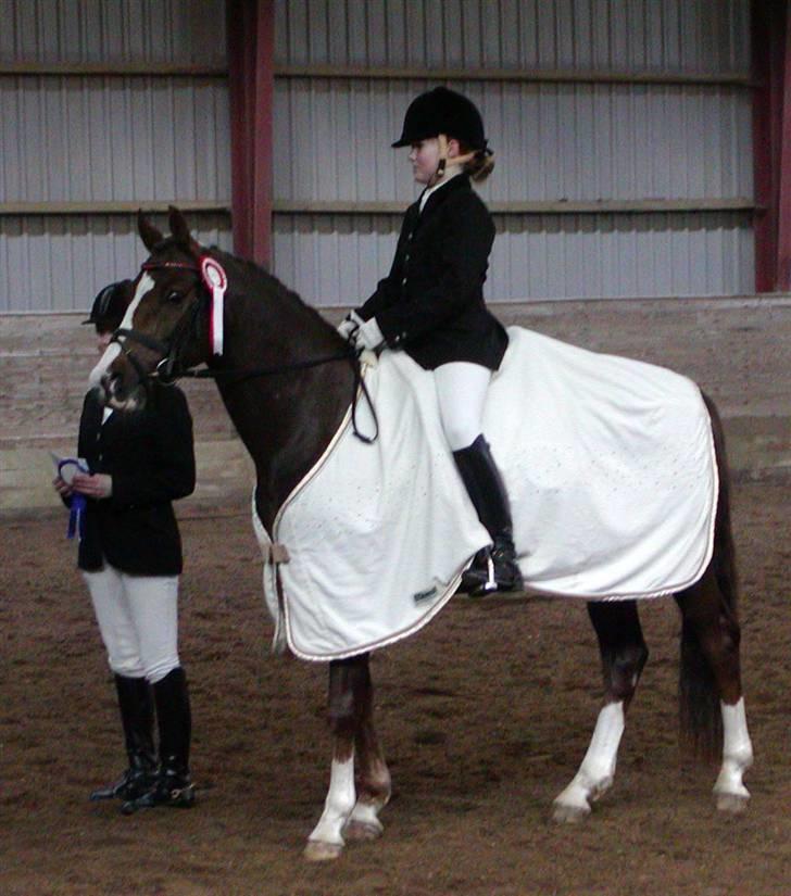 DSP Møgelholts Jambo SOLGT - vandt la6 med 66,11% :) jubii b-pony (blev nr 2 i pri med 67,5%) billede 16