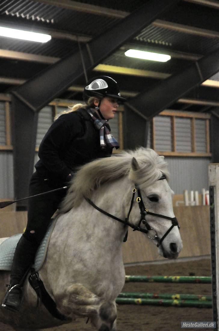 Anden særlig race Cloe :'( Min engel! R.I.P - Du tog mig tættere på himlen. billede 7