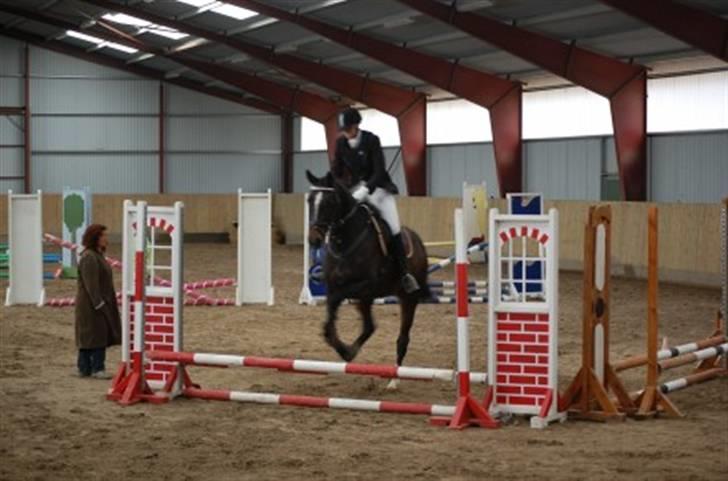 Anden særlig race Rachelieu uglvig - første springstævne på rache :P billede 4