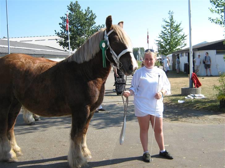 Jyde Viktoria (avl) - her er vi på herning lansskue og vi venter på at vi kan gå :) : foto mor billede 1