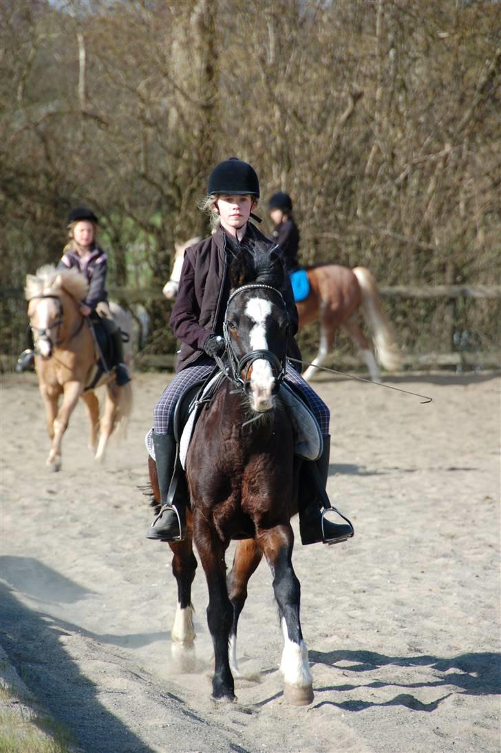 Connemara Sylvia | RIDER IKKE MERE - NYT! D. 17/4 09: Galop! Elsker dette billede (: Foto: Min Far billede 9