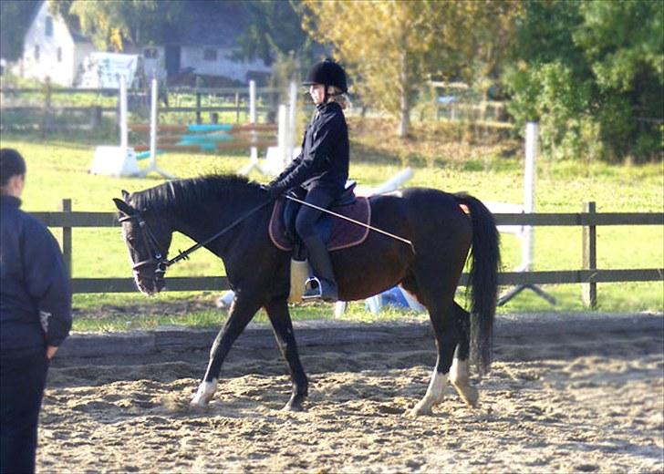 Connemara Sylvia | RIDER IKKE MERE - Dygtig Syllie | Foto: Min Mor | MÅ IKKE KOPIERES! billede 10