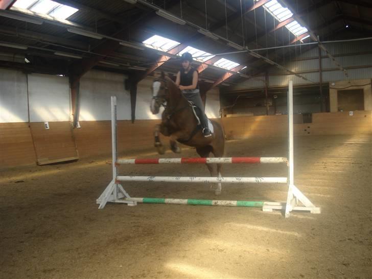 Anden særlig race The Showman billede 1