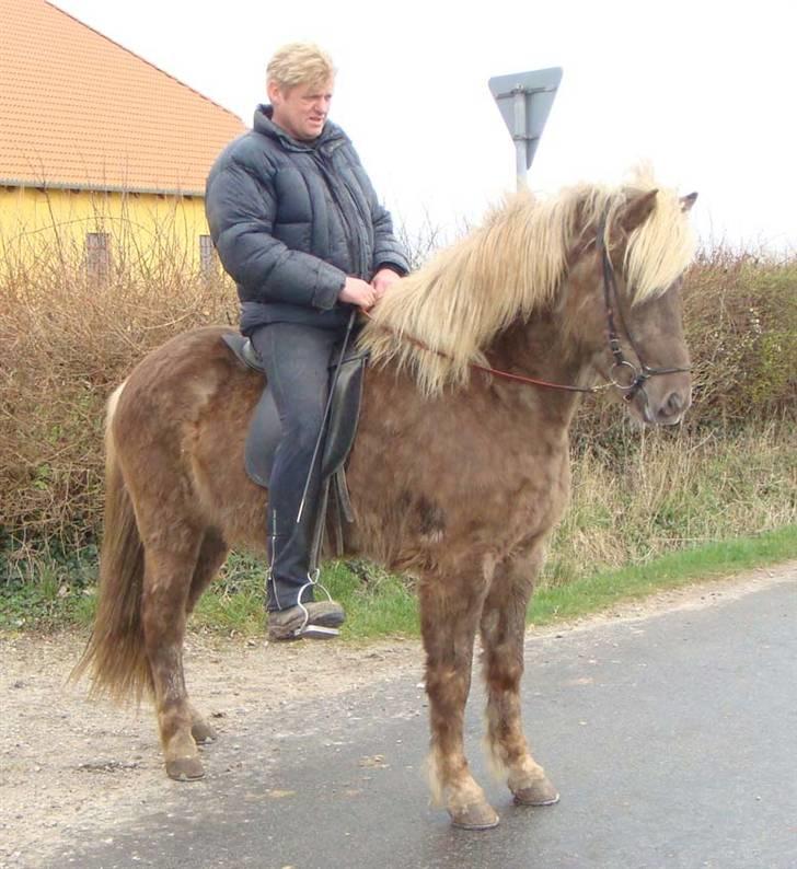 Islænder sindri fra øxl - hov der så han noget!! ;-) billede 6