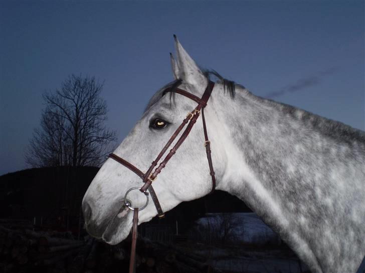 Oldenborg Lena 296 - Portrett av Lena =) billede 1