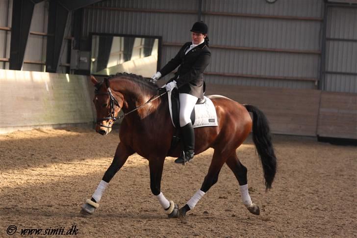 Oldenborg Talismann Nygaard *R.I.P* billede 13