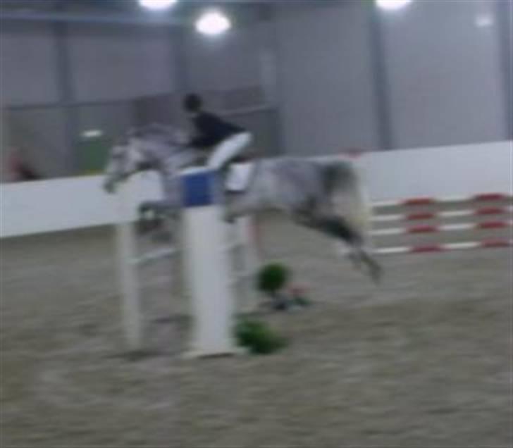 Oldenborg Lena 296 - Stevne på Vallermyrene. billede 10