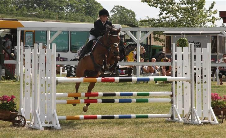 Anden særlig race *Speedy the speedfighter* - MA i Sportrideklubben Silkeborg - billedet er taget af Gitte Dahl (hun er også her inde) endnu engang tak :D billede 15