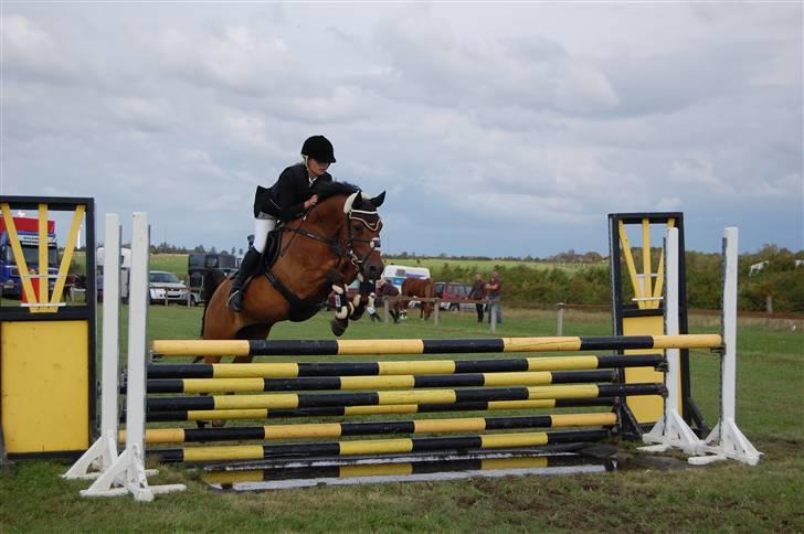 Anden særlig race *Speedy the speedfighter* - Stævne på Guldager Rideklub, over den lille vandgrav - SJM individuelt, blev 5´er - Fotograf: Sandra Wanner, tusind tak - igen <3 billede 16