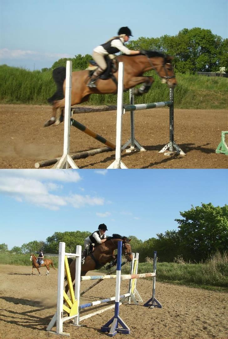 Anden særlig race *Speedy the speedfighter* - Springtræning på SØR :D billede 17