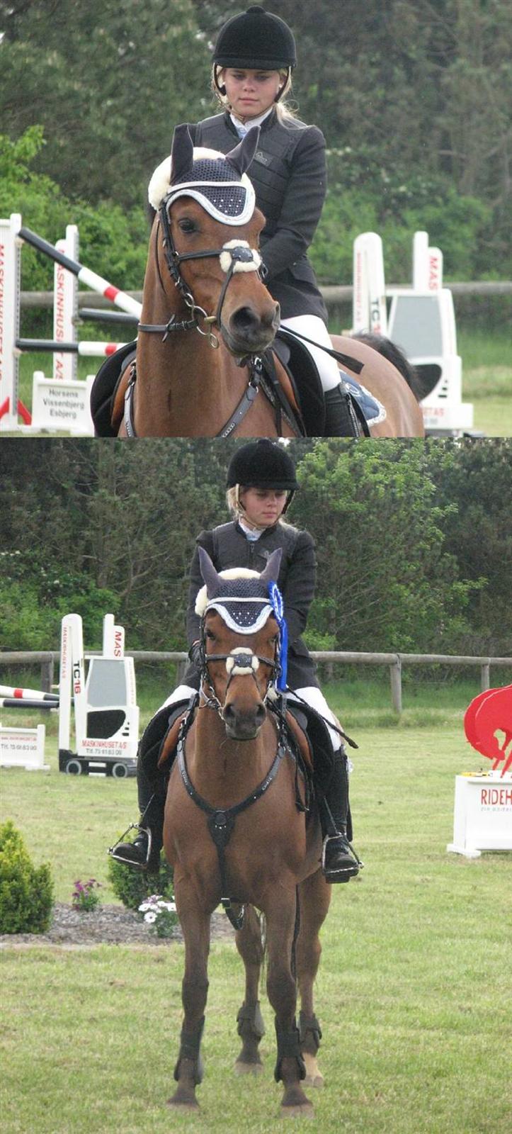 Anden særlig race *Speedy the speedfighter* - Premieoverakkelse - 2. plads i MA, det er kun mit 3. stævne på ham og min anden MA ;D billede 18