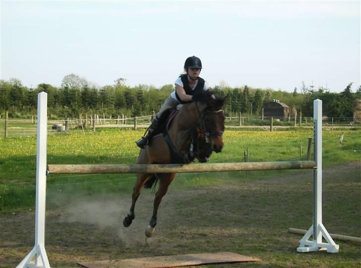 Anden særlig race *Speedy the speedfighter* - Springtræning igen ^^ billede 19