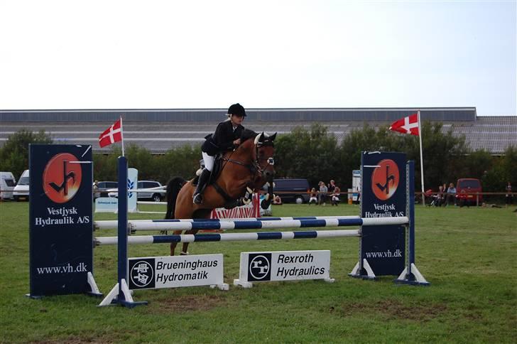 Anden særlig race *Speedy the speedfighter* - Stævne på Guldager Rideklub - SJM individuelt, blev 5´er - Fotograf: Sandra Wanner, tusind tak - igen <3 billede 20