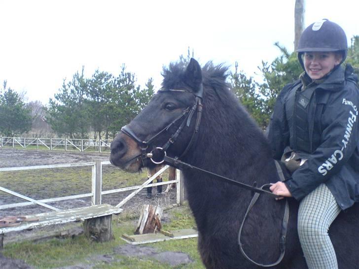 Anden særlig race Buster  - jeg nægter at tage mit hoved ned vis jeg ikke for noget mad!!! billede 6