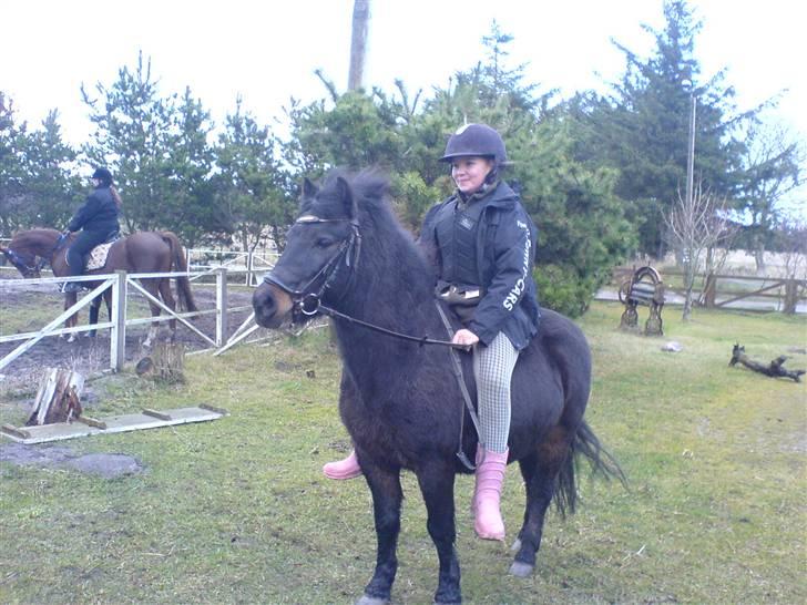 Anden særlig race Buster  - så fin jeg er:) billede 7