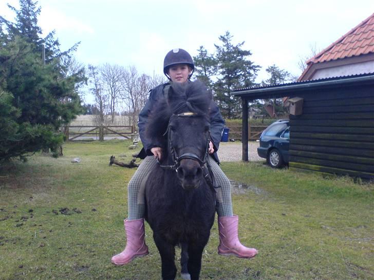 Anden særlig race Buster  - Er jeg bare ikke alle pigers drøm!!?:D billede 8