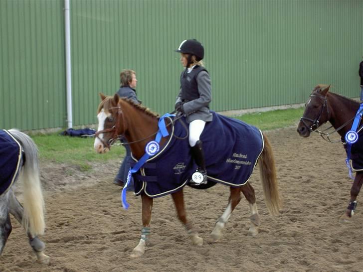 Anden særlig race Blue Eye - mig og min elskede blue eye billede 9