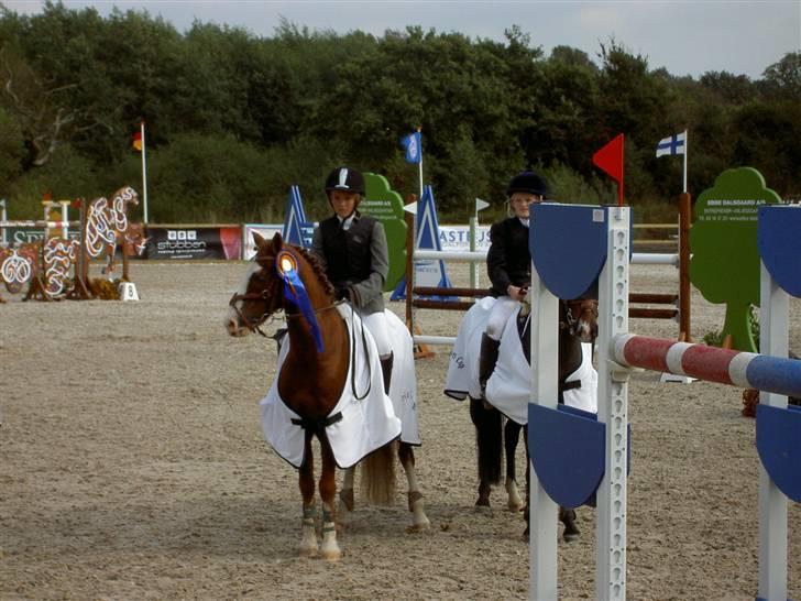 Anden særlig race Blue Eye - præmieoverækkelse billede 17