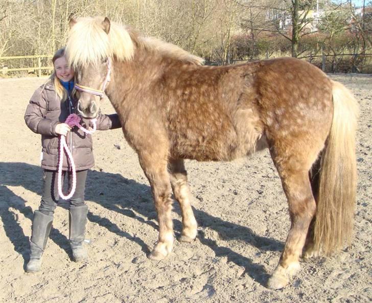 Islænder sindri fra øxl - vi begge nyder solens stråler varme os billede 9