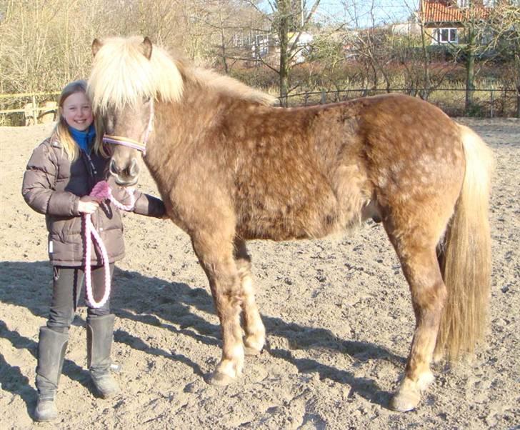 Islænder sindri fra øxl - "hej kamera-mand:-)" billede 10