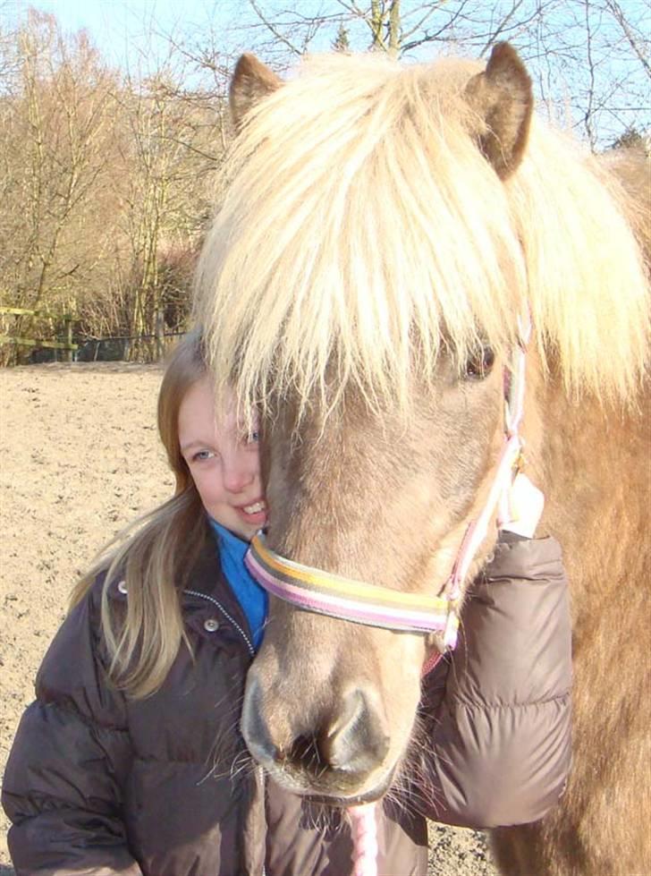 Islænder sindri fra øxl - oooo..... hvad er det?????!!!!! billede 11