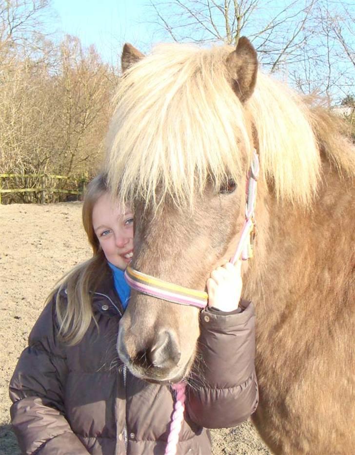 Islænder sindri fra øxl - "hihi om igen" billede 12