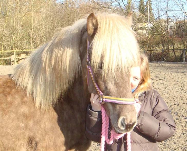 Islænder sindri fra øxl - hihi sindri lægger ikke mærke til at jeg næsten gemmer mig for ham! billede 15