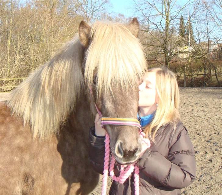 Islænder sindri fra øxl - AAAAADDDDDDD et hvårt køs hun gav mig! billede 16