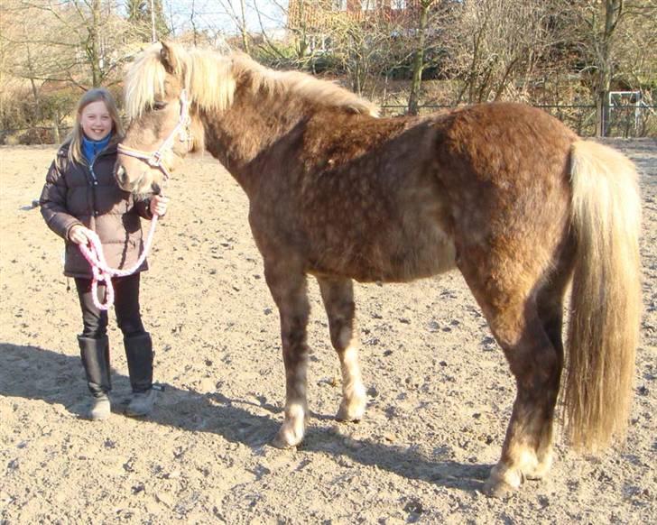 Islænder sindri fra øxl - hov man kan kun se min numse!! :-()  er det meningen??! billede 17