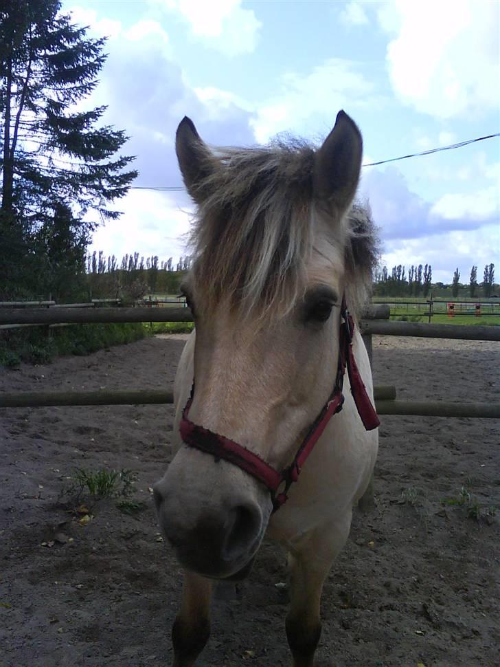 Anden særlig race Freja <3 - Fordi du er den lækreste! billede 7