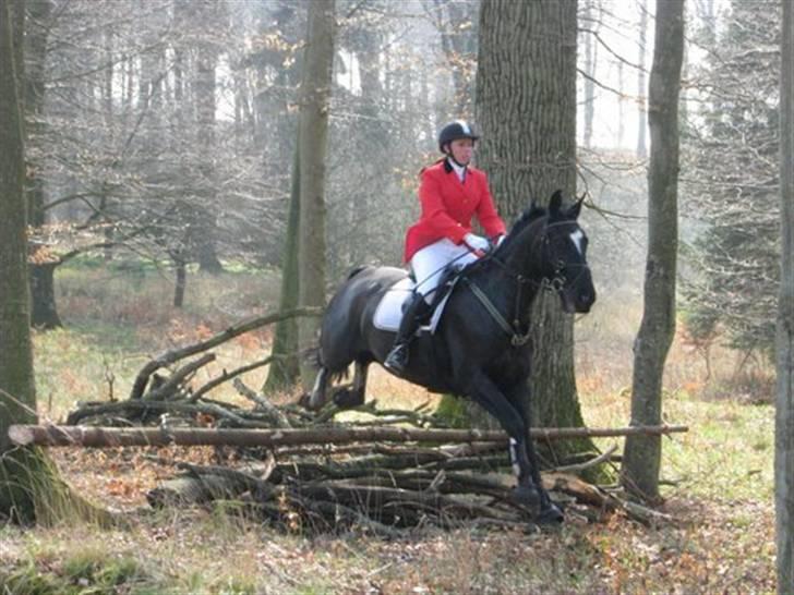 Oldenborg Kyllingegårdens Bubber - Til vores første jagt - en begynder jagt på Ledreborg den 13. april billede 10