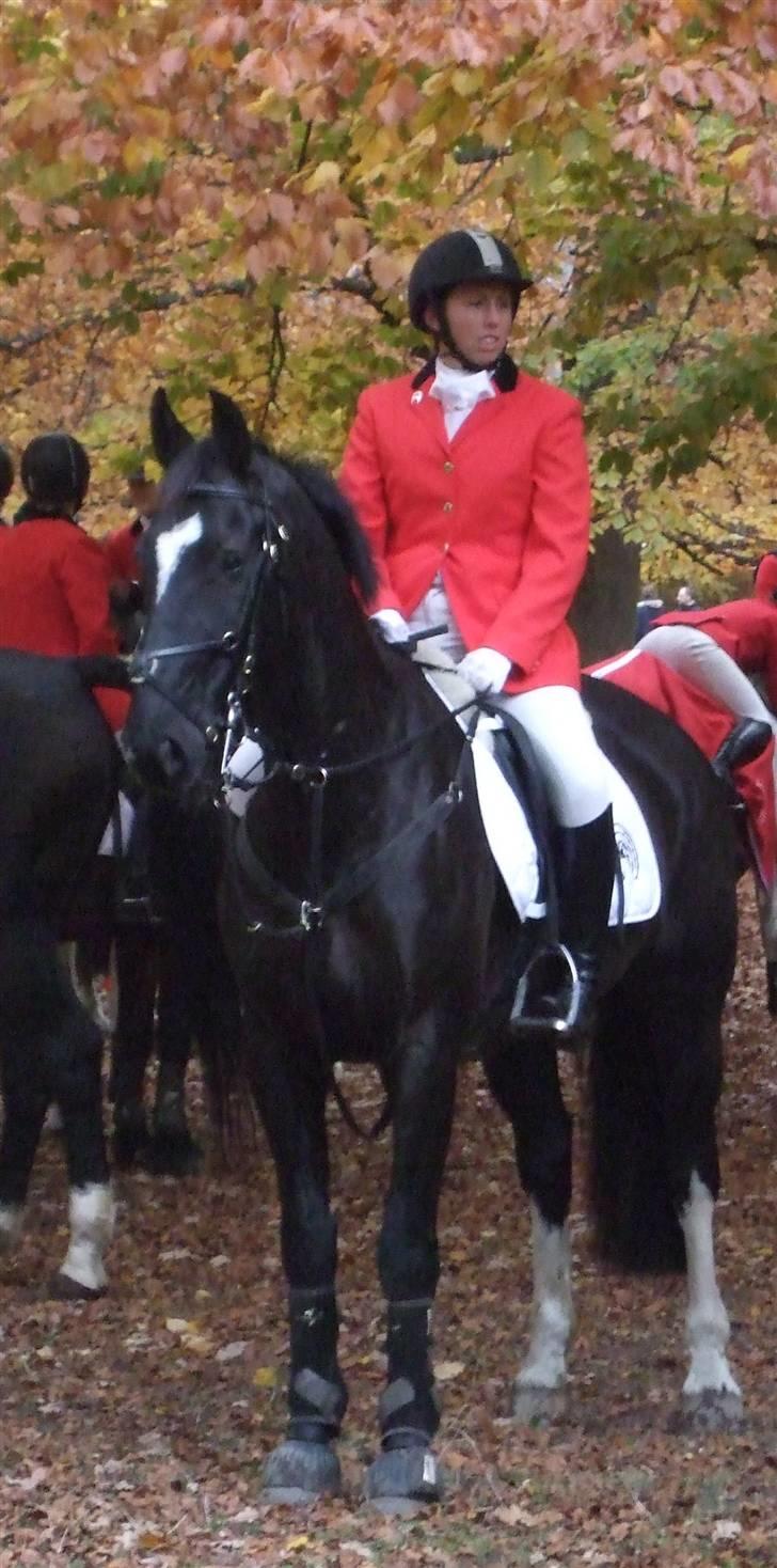 Oldenborg Kyllingegårdens Bubber - Bubber klar til Hubertusjagt 2009:)  billede 11